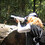 Elizabeth4