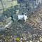 lpleeds5