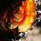 botanicfanatic2