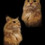 kkiorpes