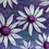 ScootermyDaisy