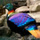 Monal