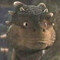 Draco Dragon