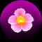 Vibrational Creation