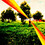 WandelDesign