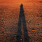 Jeff Barnard