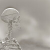 BonesBob