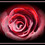 crimsonrose