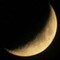 Moonlet