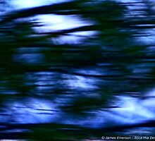 Personification of a Storm by rocamiadesign