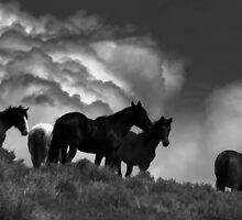 High On A Lonely Hill by Jeanne Nations