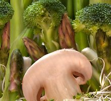 Fun Vegetable Landscape 2 by Orla Cahill Photography