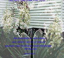 Flower Plant a difference by Norma-jean Morrison