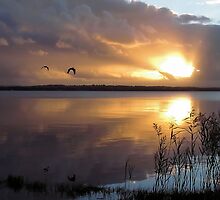 ~ Breakthrough ~ by Donna Keevers Driver
