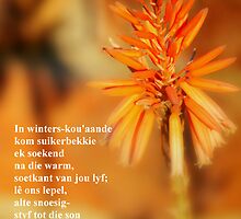 WarmWinters by Rina Greeff