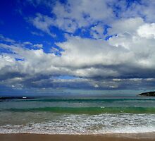 Cleansing Water for the Soul by Of Land & Ocean - Samantha Goode