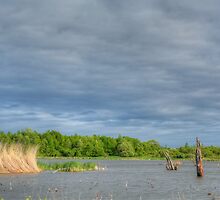 Grey Waters and Grey Sky by marshmaven