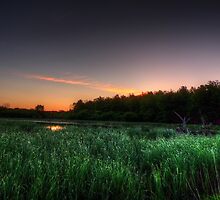 First Ray of Sunlight on Swamp by marshmaven