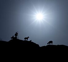 Sun imitating the Star of Bethlehem by kseniada