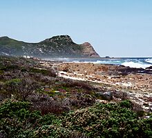 Cape of Good Hope, South Africa by Carole-Anne