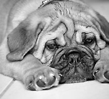 My Hugo by Melissa-Louise