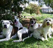 family photo ♥ by chrissy mitchell
