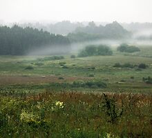 Fog layers in early morning by Antanas