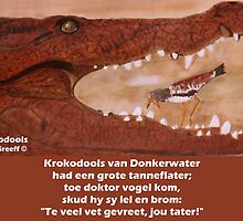 Krokodools by Rina Greeff