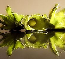 SOMETIMES I SEE by Laura E Shafer