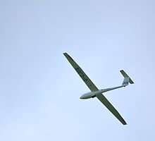 glide in blue by Steve