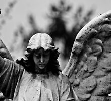 "VICTORY" by Jason Dymock Photography