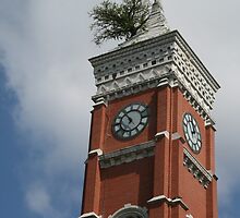 a tree grows from it ~ Decatur Courthouse tower, Greensburg, IN by Hope A. Burger