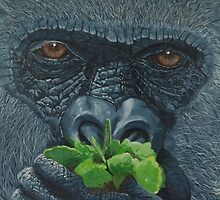 ‘Elevenses’ by eric petrie