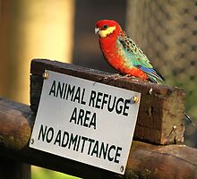 read the sign by birdpics