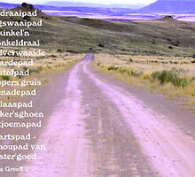 Afdraaipad by Rina Greeff