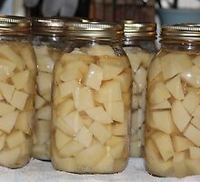Fresh Potatoes by DebbieCHayes