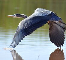 blue monday by gene mcfarland