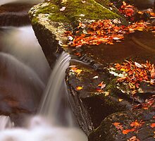 TREMONT, AUTUMN by Chuck Wickham