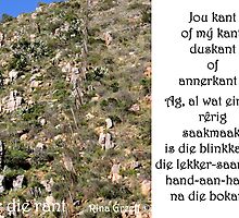 Oor die rant by Rina Greeff