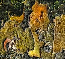 Landscape Distraction by Marilyn Cornwell