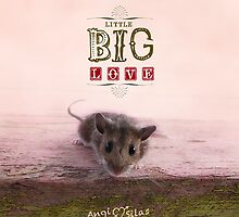 Little Big Love - Book Cover + Contest! by AngiandSilas
