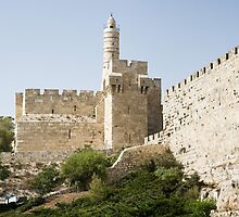 Tower of David, Jerusalem by idoavr