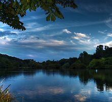 Blue Dawn by Svetlana Sewell