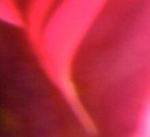Abstract 1923 by Shulie1