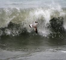 Shearing through the Storm by EleniDim