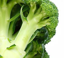 Broccoli by Gaspar Avila