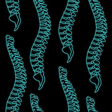 Human Spine Xray Socks For Sale By Creativetwins Redbubble