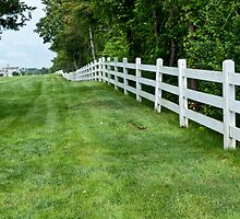 Fence To The Waterfront by phil decocco