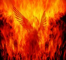 Phoenix Rising by Andrew Paranavitana