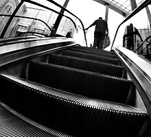 Elevated by Chris Cardwell